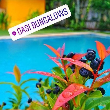 Oasi Bungalows Hotel Гили Еър Екстериор снимка